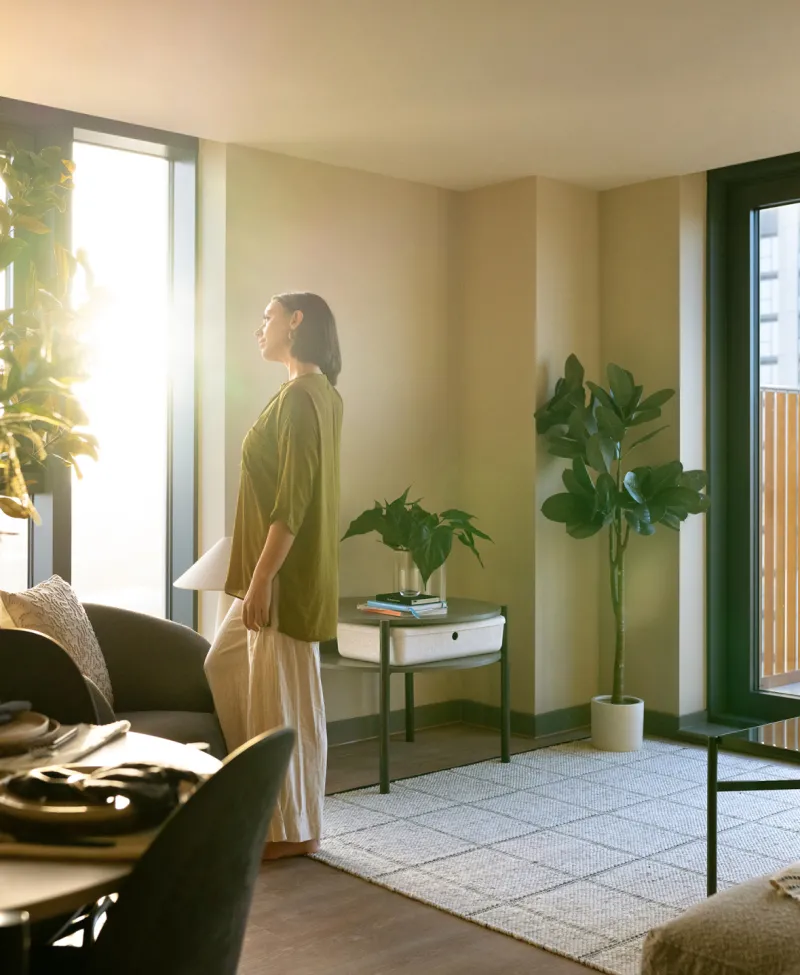 Tai Afon - Woman in window morning